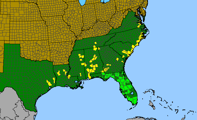 The range of Ponthieva racemosa